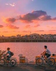 韩国队24次犯规世界杯-韩国队24次犯规世界杯，战术调整与球员心态的博弈