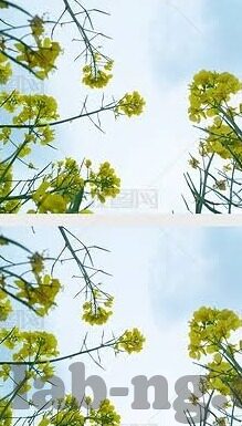 足球体球网的比分-足球赛场风云录，体球网比分背后的激情与策略